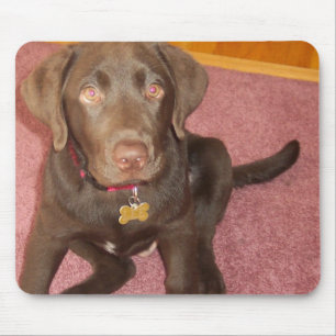Chocolate Labrador Puppy Mouse Pad