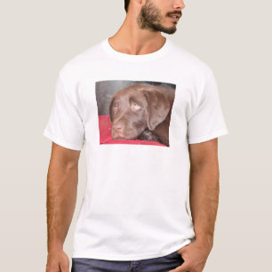 Chocolate Labrador Puppy Ponders T-Shirt