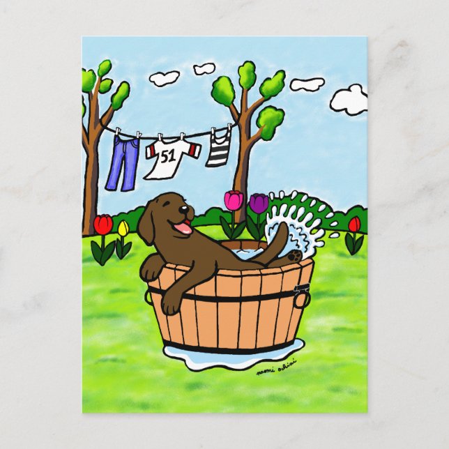 Chocolate Labrador Puppy Pool Postcard (Front)