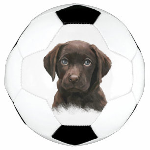 Chocolate Labrador Puppy Soccer Ball