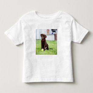 Chocolate Labrador Puppy With Tennis Ball Toddler T-Shirt