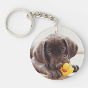 Chocolate Labrador Puppy With Toy Duck Key Ring