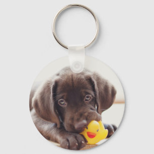 Chocolate Labrador Puppy With Toy Duck Key Ring