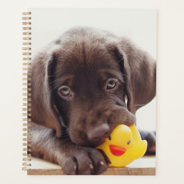 Chocolate Labrador Puppy With Toy Duck Planner (Front)