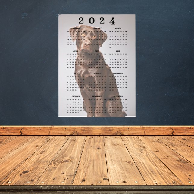 Chocolate Labrador Retriever 2024 Wall Calendar Poster (Creator Uploaded)