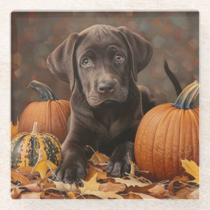 Chocolate Labrador Retriever Autumn Glass Coaster