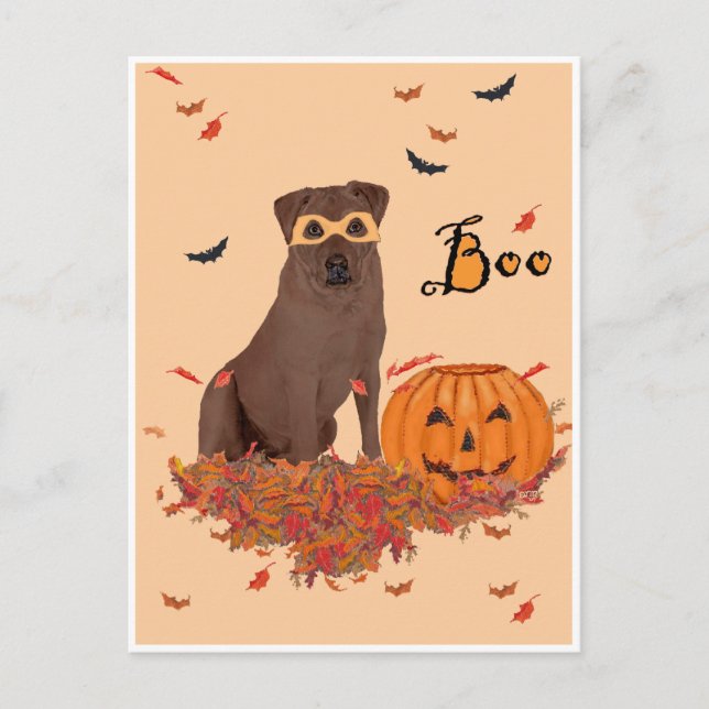 Chocolate Labrador Retriever Boo! Postcard (Front)