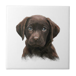 Chocolate Labrador Retriever Brown Ceramic Tile