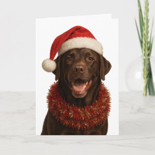 Chocolate Labrador Retriever Christmas card
