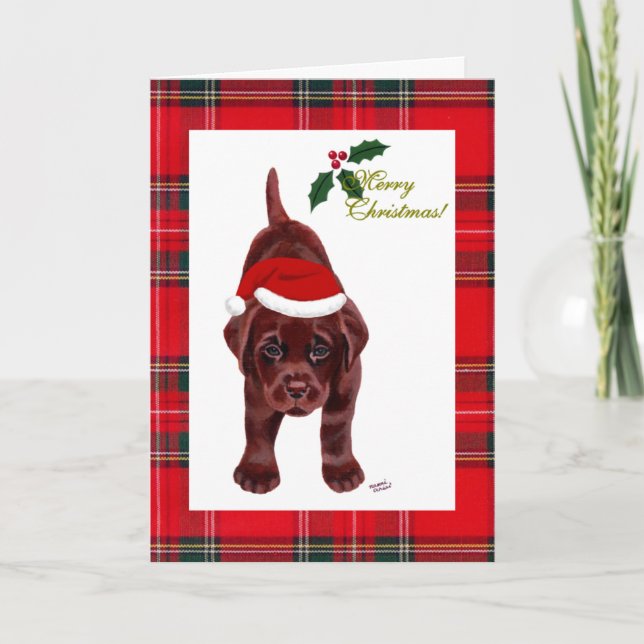 Chocolate Labrador Retriever Christmas Card (Front)