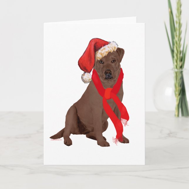 Chocolate Labrador Retriever Christmas Holiday Card (Front)