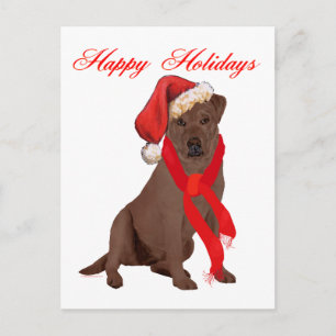 Chocolate Labrador Retriever Christmas Holiday Postcard