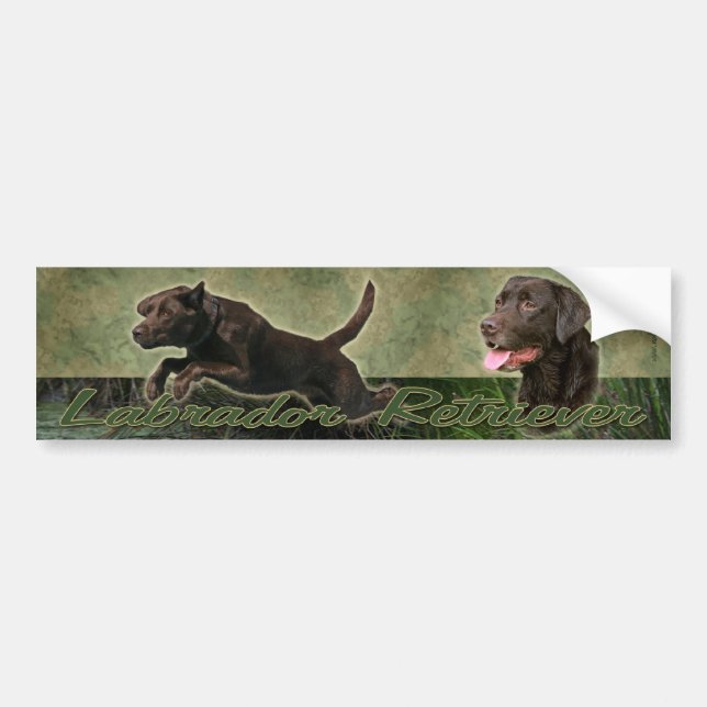 Chocolate Labrador Retriever collage bumper sticke Bumper Sticker (Front)