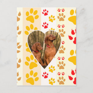 Chocolate Labrador Retriever  Dog Hearts Paw Print Postcard