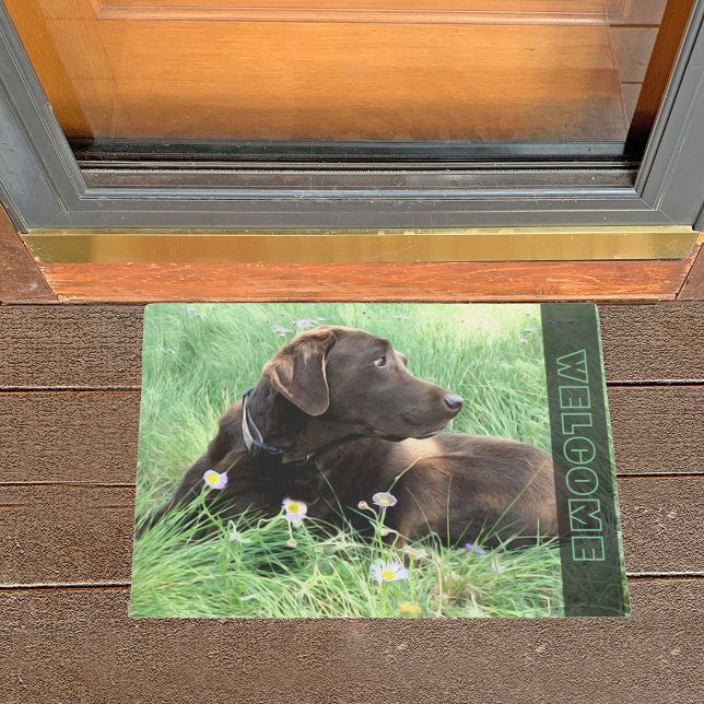 Chocolate Labrador Retriever Dog In Grass Flowers Doormat (Creator Uploaded)