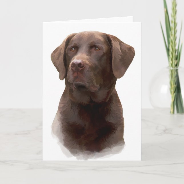 Chocolate Labrador Retriever Greeting Cards (Front)
