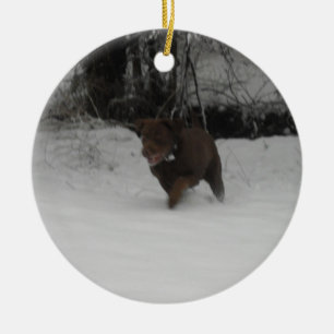 Chocolate Labrador Retriever in the snow Ceramic Ornament