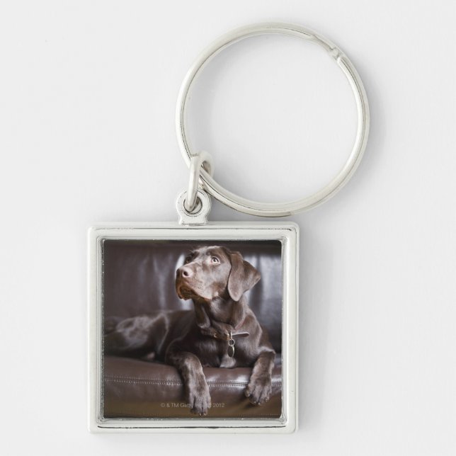 Chocolate Labrador Retriever Key Ring (Front)