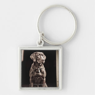 Chocolate Labrador Retriever Key Ring