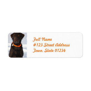 Chocolate Labrador Retriever Mailing Label Return Address Label