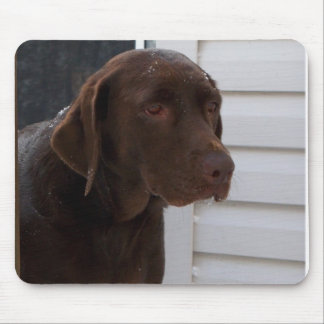 Chocolate Labrador Retriever Mouse Pad