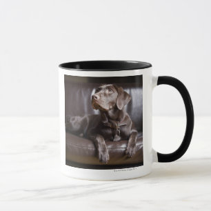 Chocolate Labrador Retriever Mug