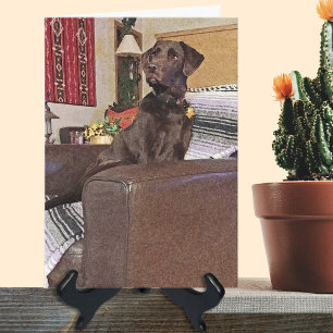 Chocolate Labrador Retriever On Chair Card