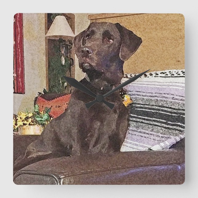Chocolate Labrador Retriever On Chair Square Wall Clock (Front)