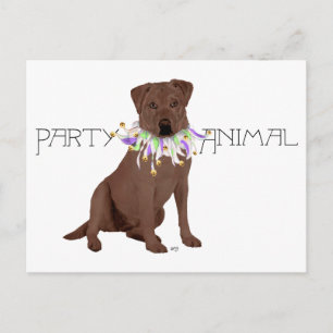 Chocolate Labrador Retriever Party Postcard