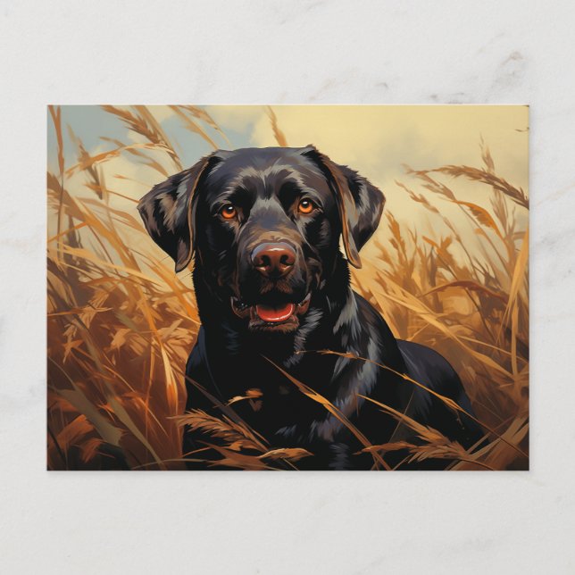 Chocolate Labrador Retriever Postcard (Front)