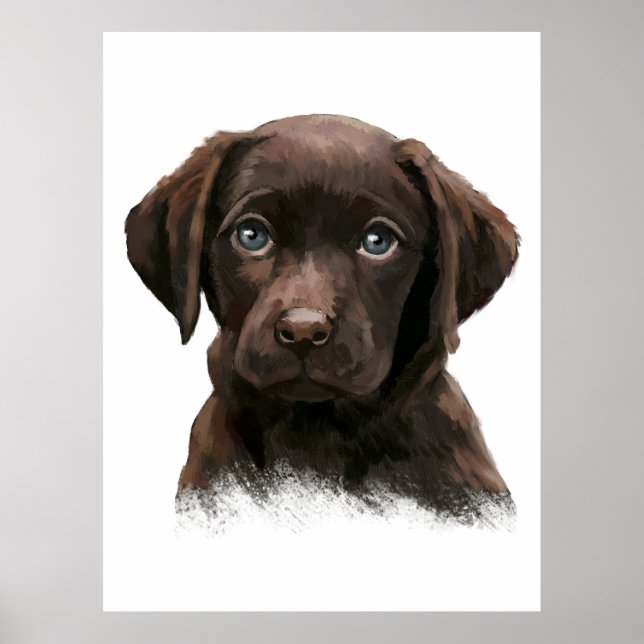 Chocolate Labrador Retriever Poster (Front)