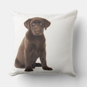 Chocolate Labrador Retriever Puppy Cushion