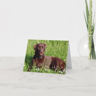 Chocolate Labrador Retriever Puppy Dog Note Card
