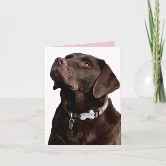 Chocolate Labrador Retriever Puppy Dog Note Card (Front)