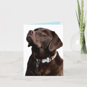 Chocolate Labrador Retriever Puppy Dog Note Card