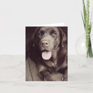 Chocolate Labrador Retriever Puppy Dog Note Card
