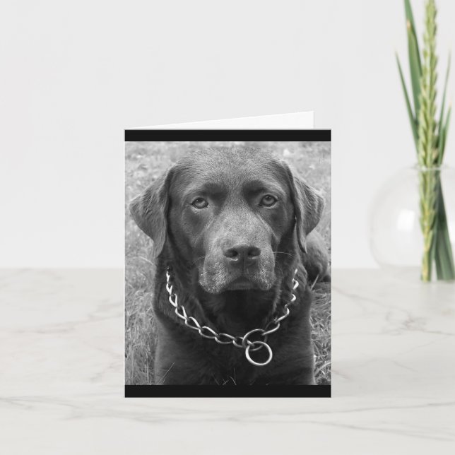 Chocolate Labrador Retriever Puppy Dog Note Card (Front)
