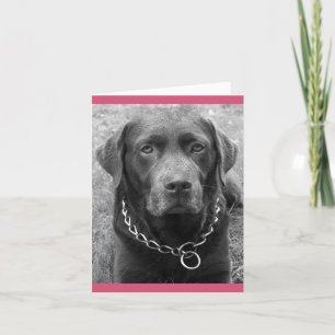 Chocolate Labrador Retriever Puppy Dog Note Card