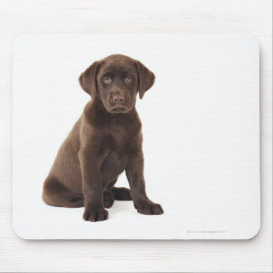 Chocolate Labrador Retriever Puppy Mouse Pad