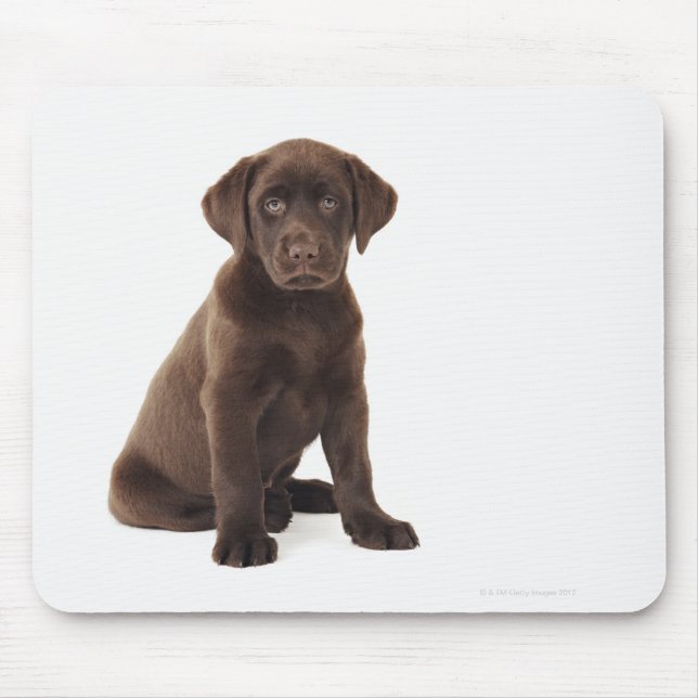 Chocolate Labrador Retriever Puppy Mouse Pad (Front)