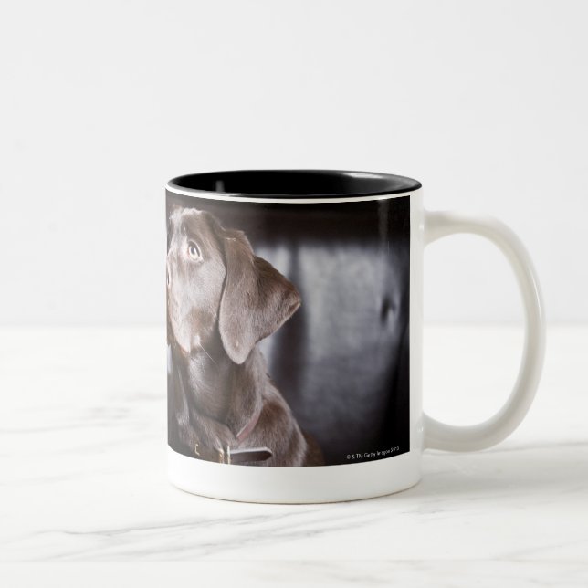 Chocolate Labrador Retriever Two-Tone Coffee Mug (Right)
