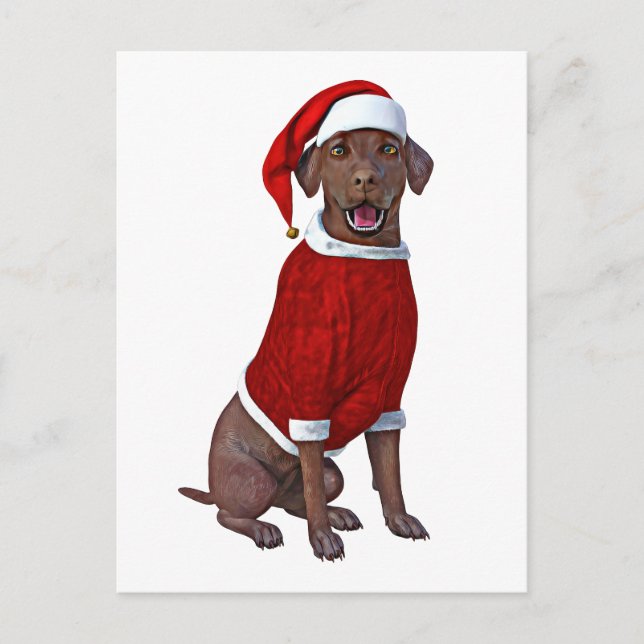 Chocolate Labrador Time for Christmas Postcard (Front)