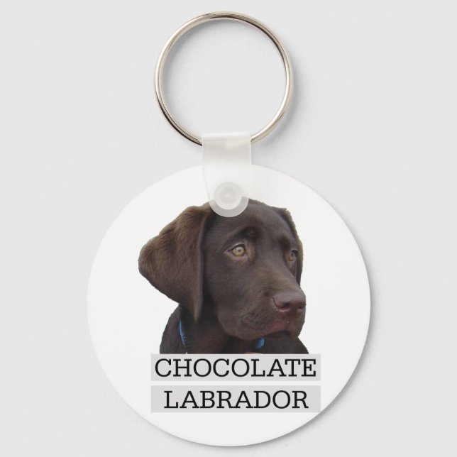 Chocolate Labrador Unique Design! Key Ring (Front)