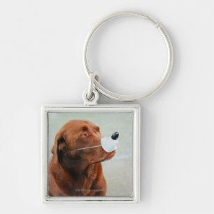 Chocolate Labrador Wearing a Fake Nose Key Ring