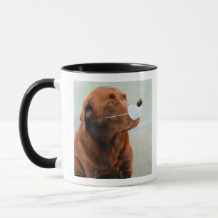 Chocolate Labrador Wearing a Fake Nose Mug