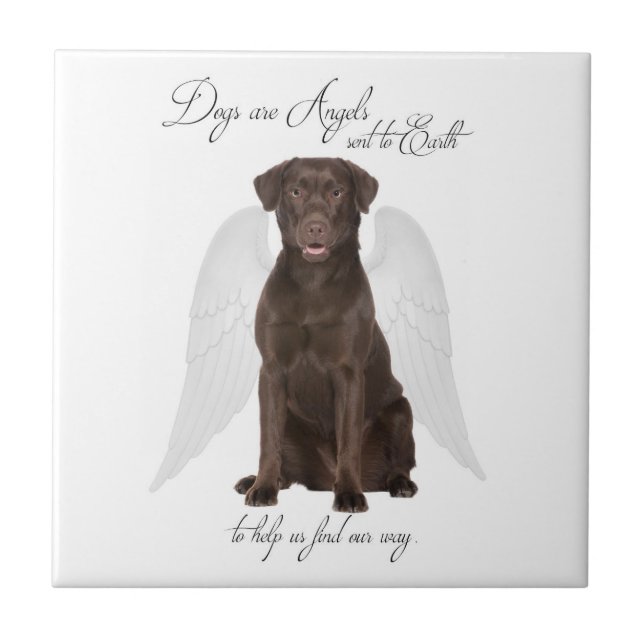 Chocolate Labs are Angels Tile Coaster (Front)