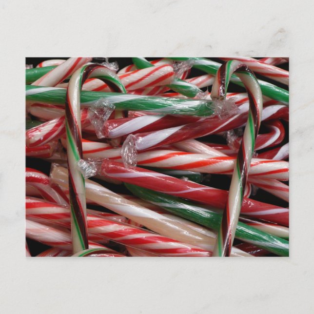 Chocolate Mint Candy Canes Holiday Festive Postcard (Front)