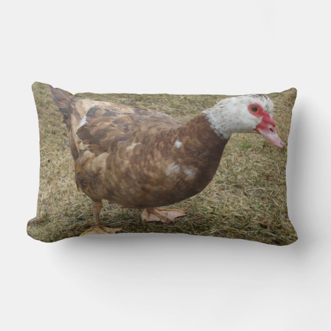 Chocolate Muscovy Duck Throw Pillow (Front)