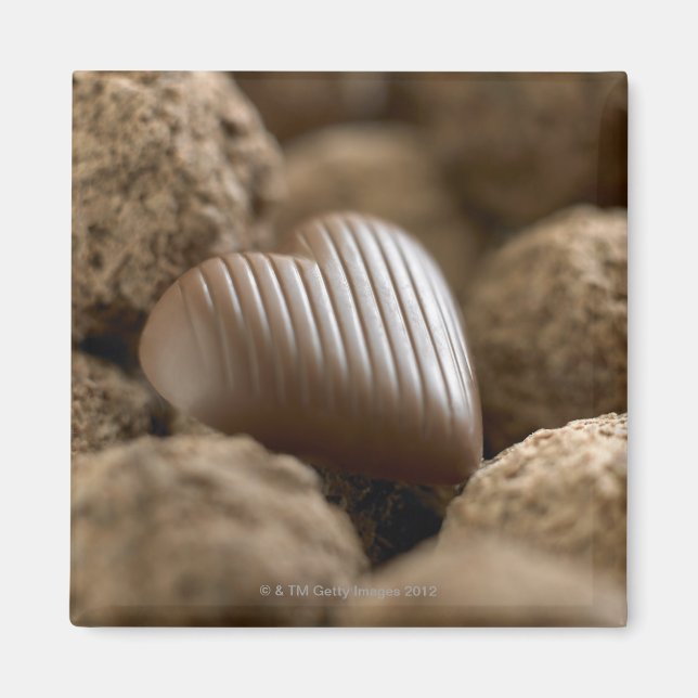 chocolate nestled amongst other chocolates magnet (Front)