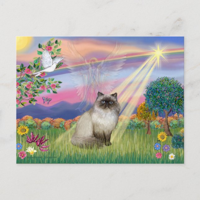 Chocolate Point Himalayan Cat -  Cloud Angel Postcard (Front)